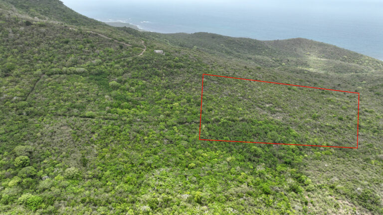 Land For Sale – Nevis